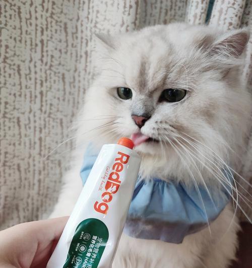 如何给宠物猫咪选择合适的化毛膏（从几个月开始用）