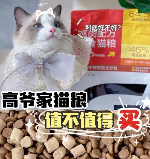 猫咪食成猫粮的时间和注意事项（宠物猫咪的饮食问题）