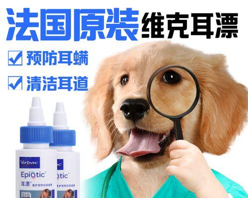 猫咪擦耳朵的时间和方法（宠物主人必知的关于猫咪擦耳朵的小知识）