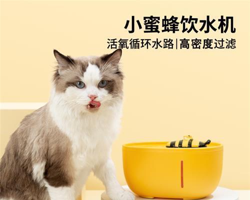 猫咪不喝水易脱水（宠物饮水需要注意的细节）