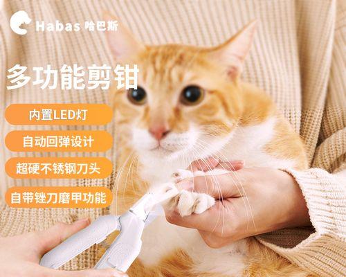 猫咪剪指甲为何惨叫（掌握正确方法）