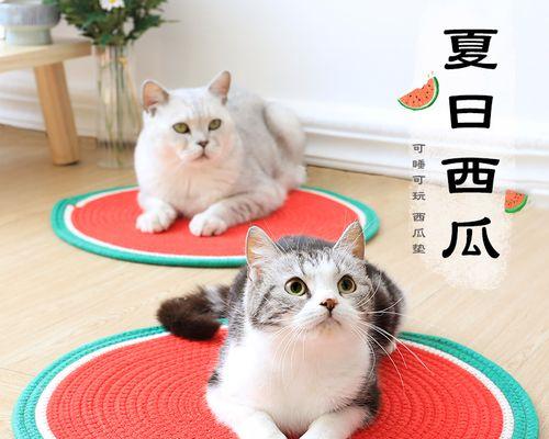 宠物猫咪的脚垫为何会发臭还带血（分析猫咪脚垫发臭原因及防治方法）