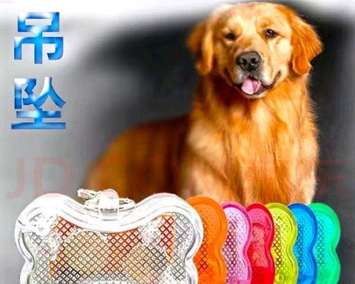 猫咪脚腐烂到骨头的致命病因（宠物爱心细节）