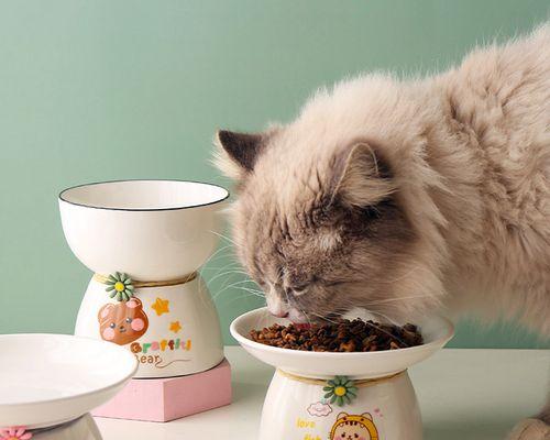 猫咪脚流血，原因和应对方法（让我们一起了解宠物猫咪脚流血的常见原因和如何应对）