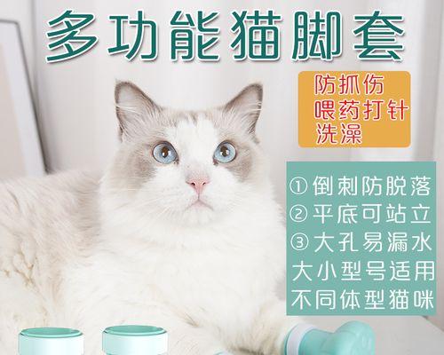猫咪脚趾变黑的原因和应对方法（探究猫咪脚趾变黑的原因）