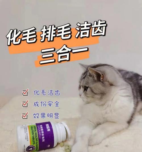 猫咪洁齿小技巧，让宠物的口腔健康无忧（猫咪洁齿水可以天天喝吗）