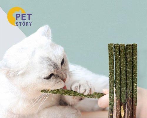 宠物牙齿健康必备，猫咪洁牙棒教你如何做（宠物牙齿健康必备）