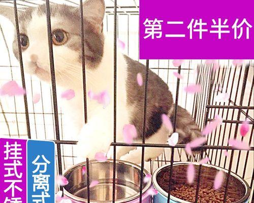 猫咪戒猫粮的全程指南（以爱宠为主）