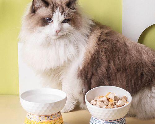 猫咪戒猫粮的全程指南（以爱宠为主）