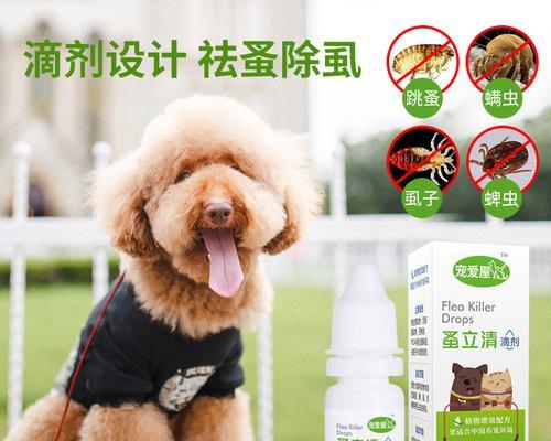 治疗猫咪疥癣症的有效药物剂量（以宠物为主）