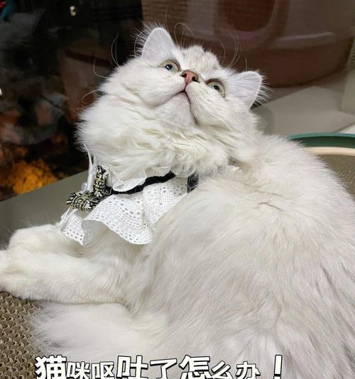 宠物猫咪精神不振呕吐站不起来，如何应对（如何照顾生病的猫咪？精神不振、呕吐、站不起来的处理方法分享）