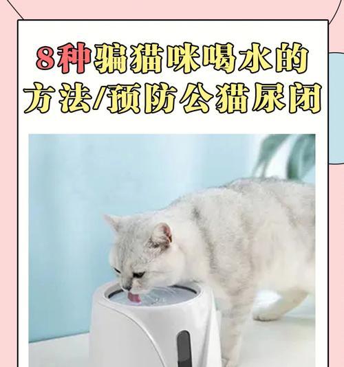 猫咪经常喝水不一定上火（宠物猫咪的饮水习惯及如何预防上火）