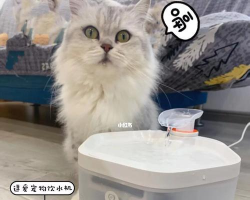 猫咪喝水频率正常吗（宠物猫的饮水习惯及注意事项）