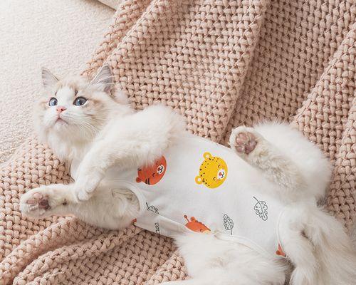 猫咪绝育后几天大便注意事项（宠物主人必看的细节把握）