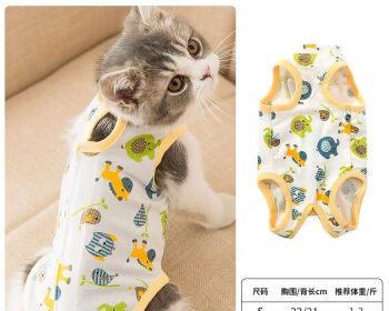 猫咪绝育全过程哭了，让你了解宠物手术的真实情况（探秘猫咪绝育手术的全过程）
