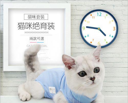 如何选择一家好的宠物绝育医院（宠物绝育手术的重要性及如何选择一家可信的宠物医院）