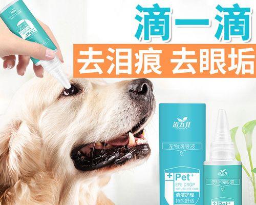 如何治疗猫咪多眼屎（药物治疗和日常护理）