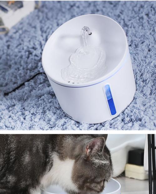 为什么猫咪靠近水盆却不喝水（揭秘猫咪喝水习惯与健康需求）