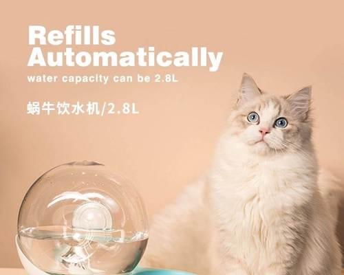 为什么猫咪靠近水盆却不喝水（揭秘猫咪喝水习惯与健康需求）