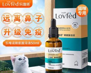 猫咪生病了怎么办（宠物饲主必读）