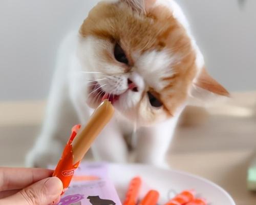 猫咪能否吃火腿肠（了解猫咪饮食习惯）