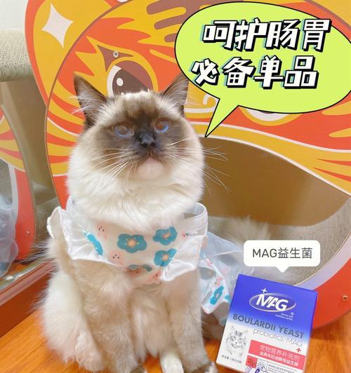 宠物猫咪也需要益生菌保健（以人类可食用益生菌为基础的猫咪肠道健康饮食）