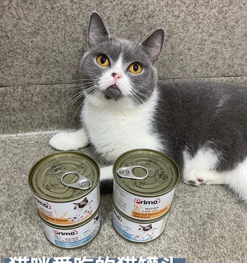 宠物猫咪是否可以吃干奶粉（干奶粉的营养成分）