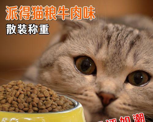 猫咪的饮食宝典（让你的爱猫吃得健康快乐）