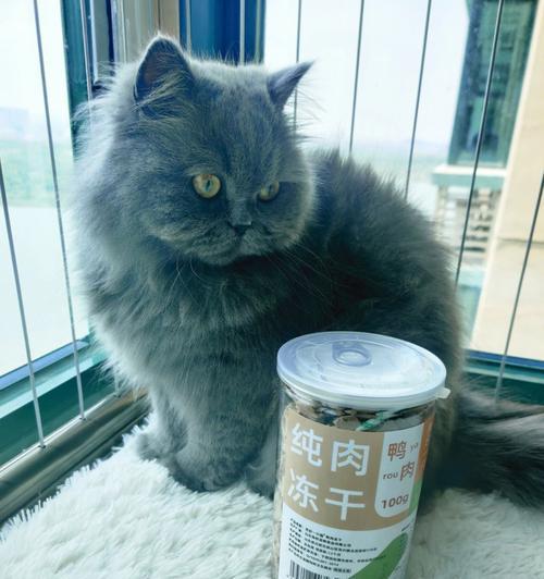 猫咪可以鸡肉鸭肉冻干一起吃吗（探讨宠物饮食健康）