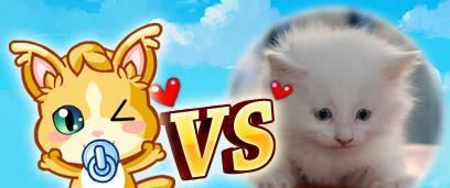 猫咪游戏大全（以宠物为主的各种互动游戏）