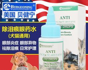 宠物猫咪的眼药水使用指南（如何安全有效地为猫咪使用人用眼药水）