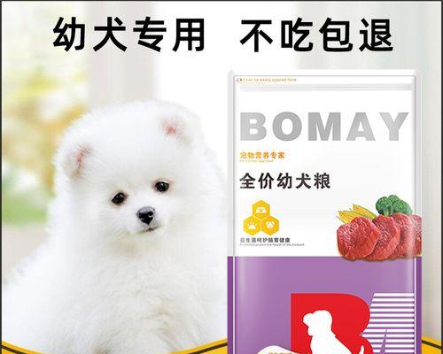 星期日幼犬狗粮的养护方法（做个负责的宠物主人）