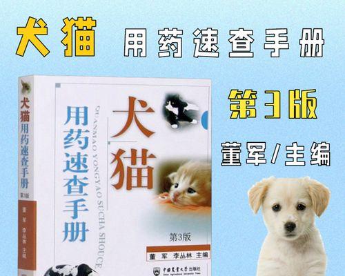 抽签助你找回走失的爱猫（如何运用八卦神数寻找宠物猫的有效方法）