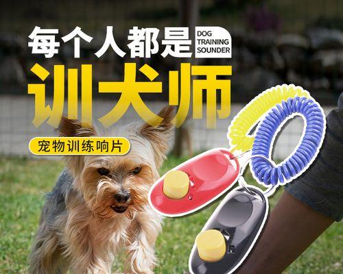 如何训练狗狗用响片（掌握训练技巧）