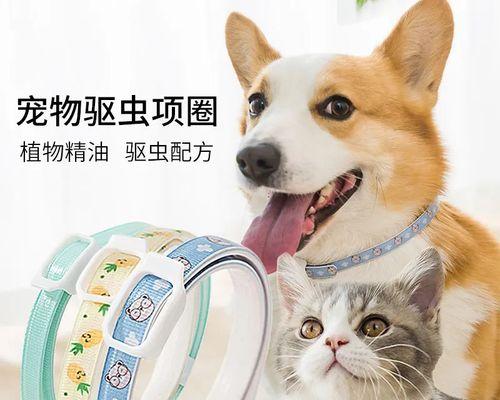 如何给训练过的猫咪驱虫（宠物养护的必备技能）