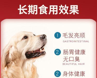如何为养阿拉斯加准备合适的狗粮（如何挑选狗粮）