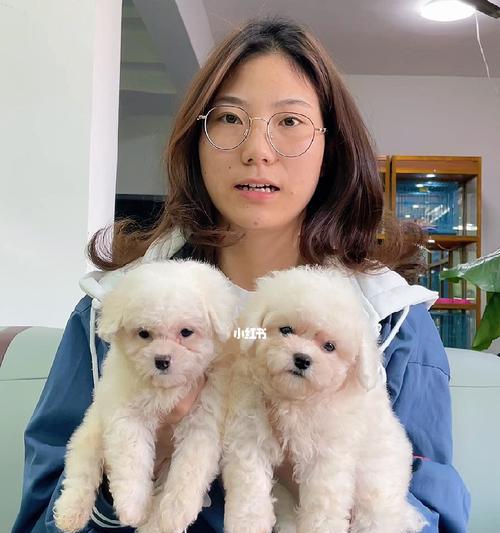 如何照顾刚出生的小狗（一步步带您成为贴心宠物家长）
