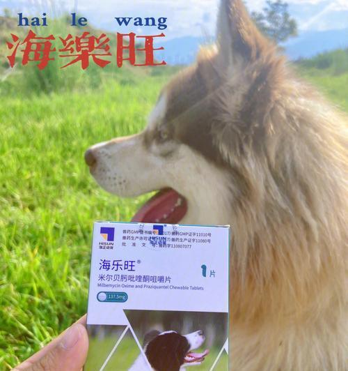 狗狗常备药物大全（以宠物为主）
