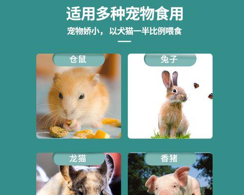 如何为你的猫咪正确补充羊奶（每日喝羊奶）
