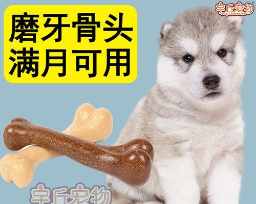 小狗咬伤人（了解小狗咬人原因）