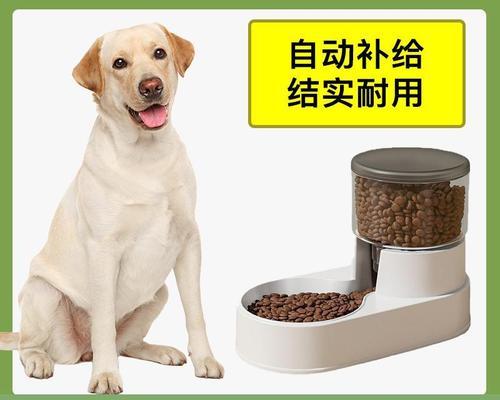 宠物小狗一周饮食计划（如何科学合理地喂养小狗）