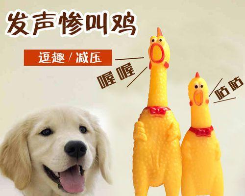 一月大的宠物狗狗一直抖后腿该怎么办（如何帮助年幼的狗狗克服抖动问题）