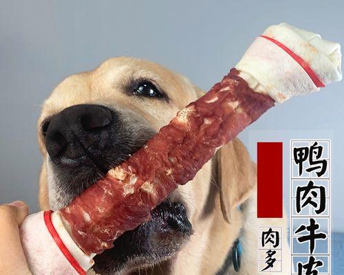 一个月大的小狗咬东西怎么办（宠物主人必知的防止小狗咬东西的技巧）