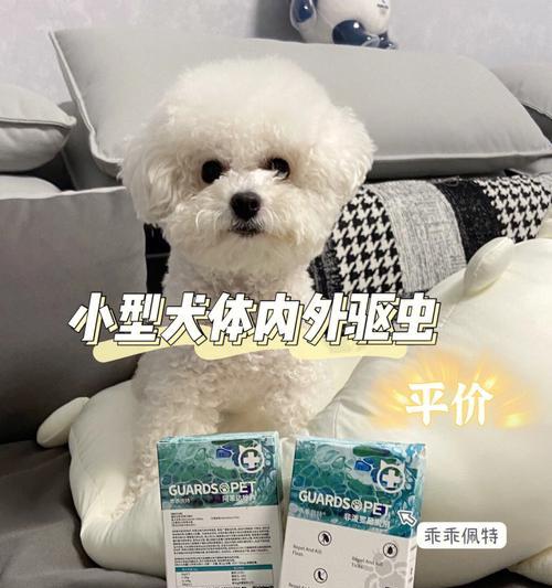 狗狗体外驱虫全攻略（一个月大的狗狗用什么体外驱虫）