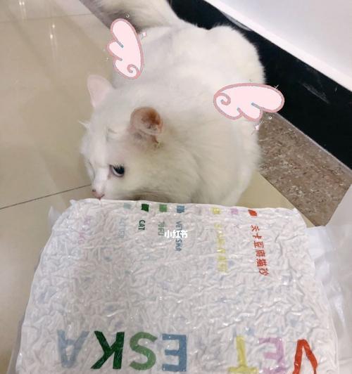宠物猫第一次使用猫砂的经历（一只月龄小猫的成长历程）