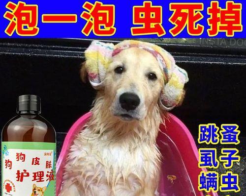 猫咪能否在一个月内进行体外驱虫（揭秘宠物体外驱虫的时间和方法）