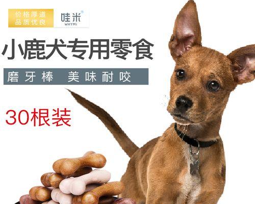 一月龄小狗是否能吃骨头（宠物健康食谱）