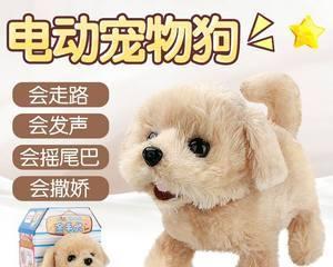 一月龄的小狗能否外出散步（以宠物为主的健康考量）