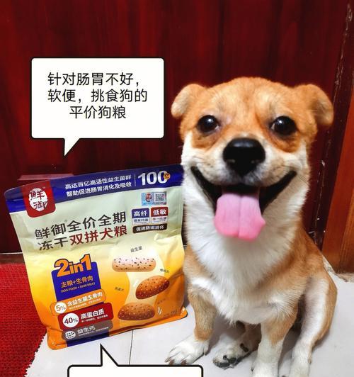 解决宠物狗天天拉软便的问题（让你的宠物健康生活）
