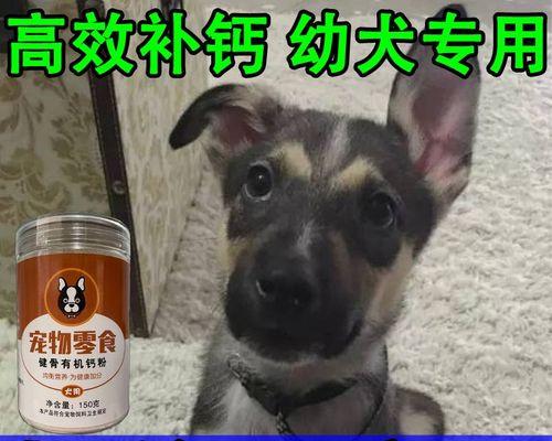 狗狗骨骼健康必备——选择适合的钙粉（如何选择适合狗狗的钙粉）